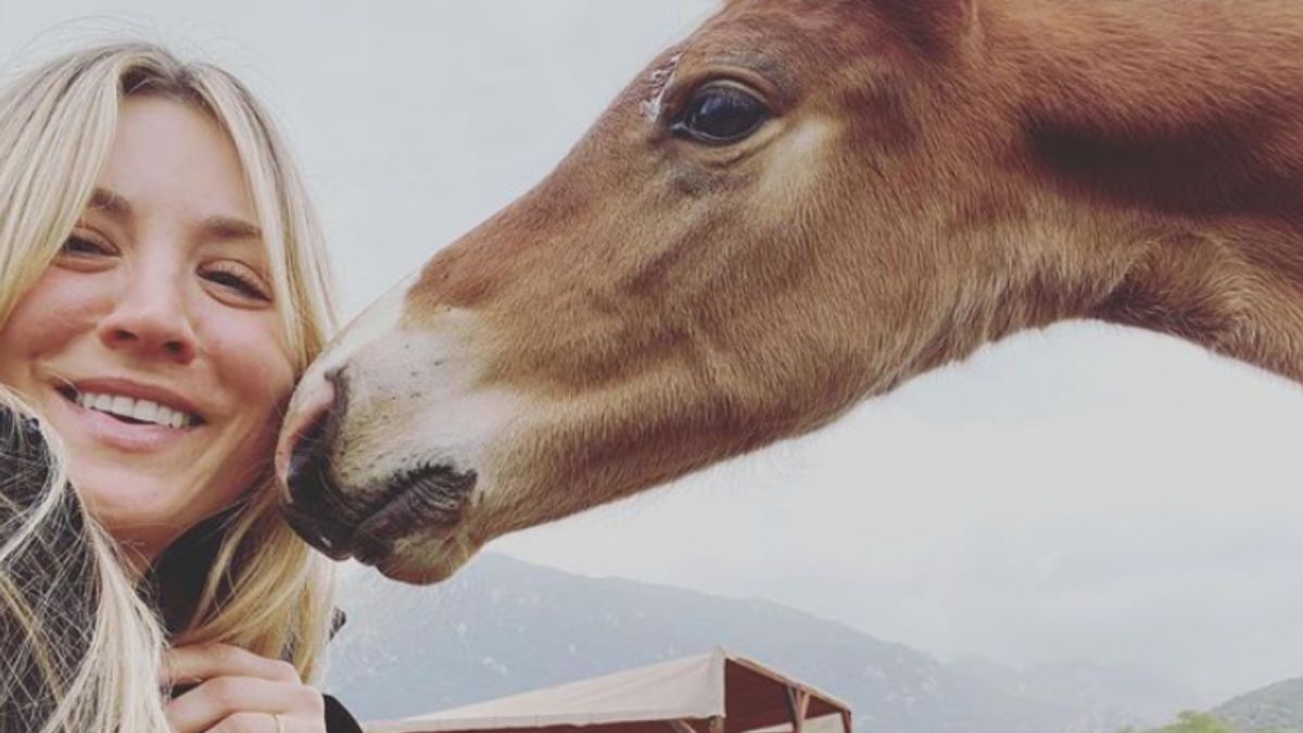 La actriz Kaley Cuoco se ofrece a comprar un caballo maltratado en los Juegos Olímpicos - Vimarsana News