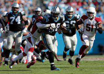 Los Cardinals dejan muy tocada su temporada en Carolina