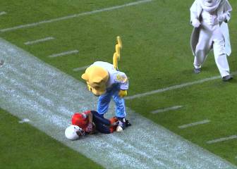 Mascotas de la NFL destrozando niños