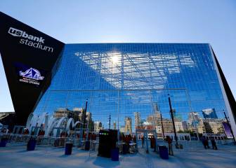 El estadio de los Vikings es una trampa mortal para pájaros