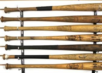 “Agrilus planipennis” o la mayor amenaza para el béisbol