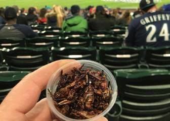 Los Mariners venden saltamontes para comer ¡y los agotan!