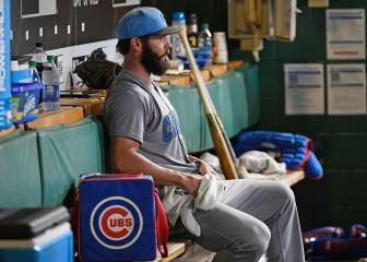 Cachorros siguen hibernando en plena de ola de calor