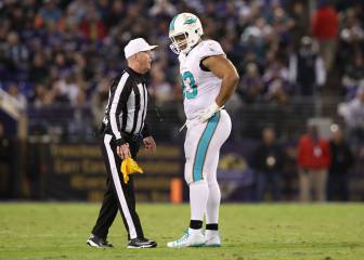 La violencia de los Dolphins les costará dinero y partidos