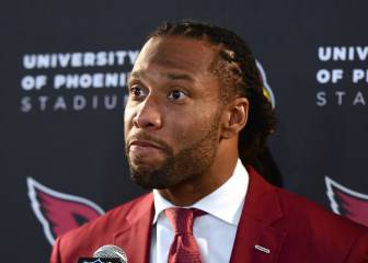 Larry Fitzgerald: 