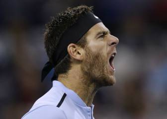 Del Potro: ''Messi representa a los argentinos''