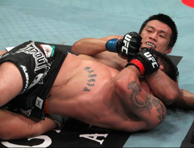 Llaves de jiu jitsu brasileno pdf