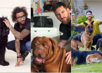 Zlatan, Messi y otros futbolistas que disfrutan del Dog Day
