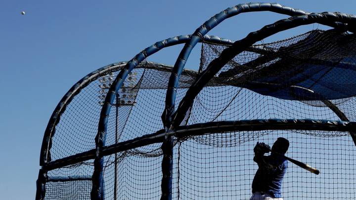 Spring Training caja de bateo