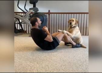 El mejor y más tierno compañero de ejercicio