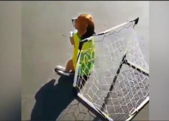 La mejor solución para entrenar tiros en casa
