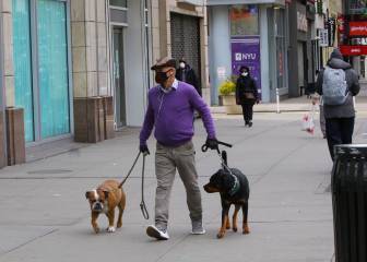 Se disparan adopciones de perros en USA por pandemia de Covid-19