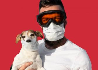 ¿Los perros pueden transmitir el coronavirus?