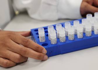 Coronavirus USA: las seis vacunas probadas en seres humanos