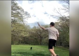 Este perro es la mejor pareja para lanzar la pelota