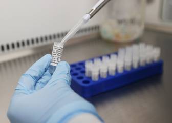 Coronavirus: Fases para el desarrollo de una vacuna