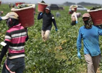 Ya está disponible la ayuda a inmigrantes indocumentados