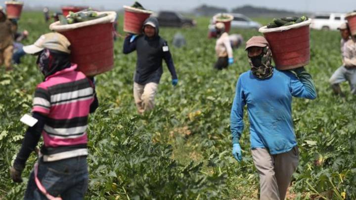 Ayuda para inmigrantes indocumentados en California: Cuándo solicitarla, requisitos y cantidad