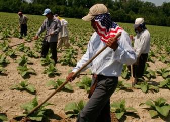 Coronavirus: ¿Por qué los latinos son los más afectados?