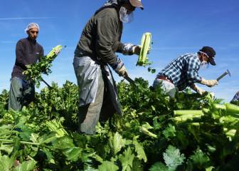 Ayuda a inmigrantes: Teléfonos y sitios web para solicitarla