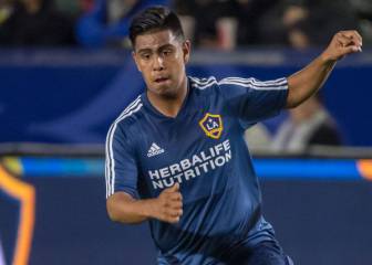 Zlatan le dio consejos a Efraín Álvarez para llegar a Europa