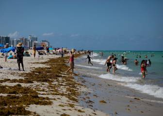 Florida: ¿Qué playas están abiertas y cuáles están cerradas?