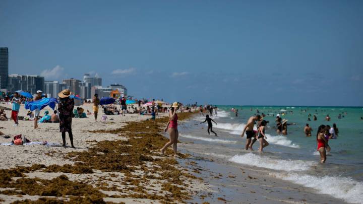 ¿Qué playas de Florida están abiertas y cuáles están cerradas?