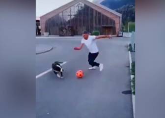 El mejor defensa canino que ha visto el internet