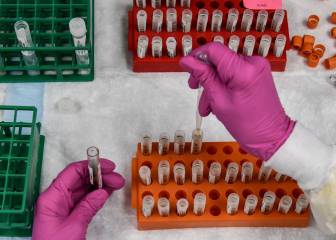 Vacuna contra el coronavirus en USA: ¿Cuándo es la posible fecha de distribución?