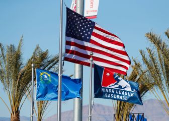 Peloteros de MLB donan 500 mil USD a ligaminoristas
