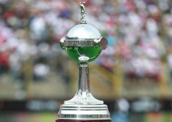 Palmeiras - Santos, final de la Copa Libertadores: Horario, TV; cómo y dónde ver en USA
