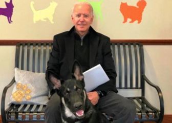 Perros de Biden abandonan la Casa Blanca tras incidente