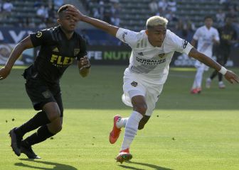Julián Araujo: 