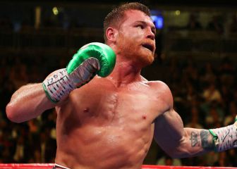 Plant demerita a 'Canelo': 
