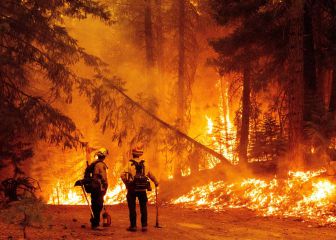 ‘Dixie Fire’: segundo incendio más grande de California