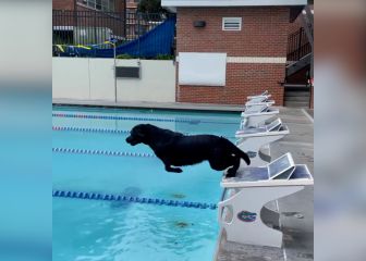 Caeleb Dressel y el increíble entrenamiento con su mascota