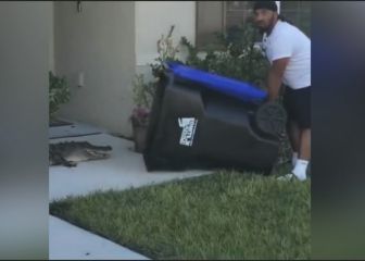 ¡Increíble! Un hombre de Florida atrapó a un cocodrilo en su patio