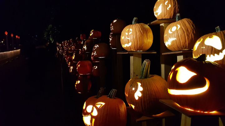 ¿Por qué en Halloween se usan calabazas iluminadas y qué significan?