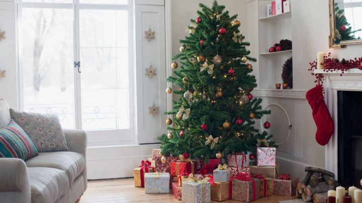El Black Friday se acerca. Si aún no tienes tu árbol de Navidad, aprovecha para comprarlo en el gran viernes de descuentos. Aquí las mejores ofertas.