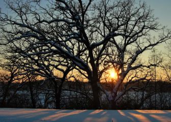 Hoy es el día más corto del año: ¿Cuánto dura y por qué?