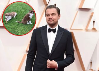 Leo DiCaprio saltó a un lago helado para salvar a sus perros