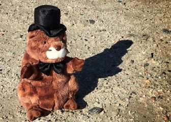 Día de la Marmota: ¿Qué pasa si la marmota ve su sombra?