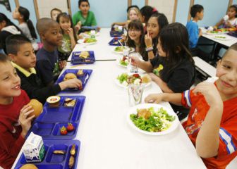 Programa de nutrición infantil: ¿cuáles son los requisitos?