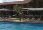 La acrobacia de Drmic en la piscina tras el pase de Shaqiri