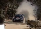 La increíble pericia al volante de Ogier en México