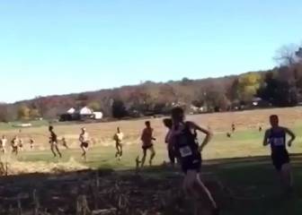 Deer mows down cross country runner
