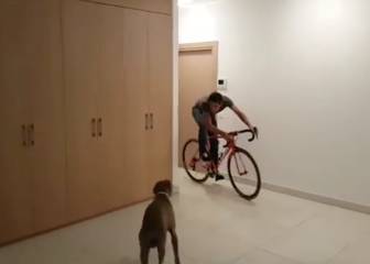 Contador does his best Benny Hill impression...but beware the dog!