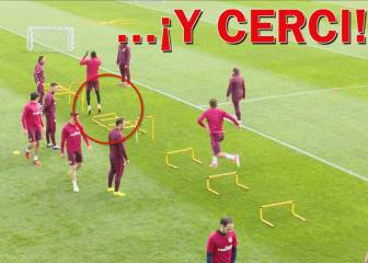 Poor Cerci still hasn't got the hang of training hurdles!