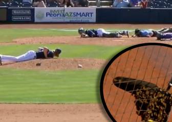 Bee-ware! Flying pitch invaders cause buzz in baseball match