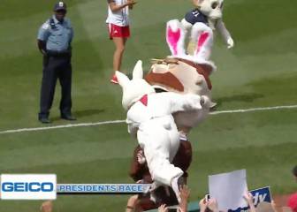 La tacleada más feroz sobre una mascota: ¡no pudo ni levantarse!